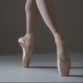 Grishko - ‘Assoluta’ Strong but Flexible Shank Pointe shoe
