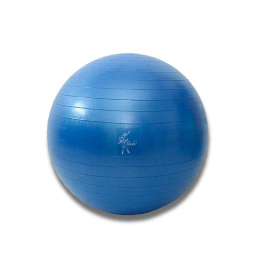 Tendu - Stability Yoga/Fitness Ball